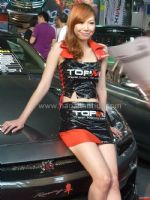 2010華南(nan)國(guo)際(ji)汽車(che)改裝(zhuang)博覽會